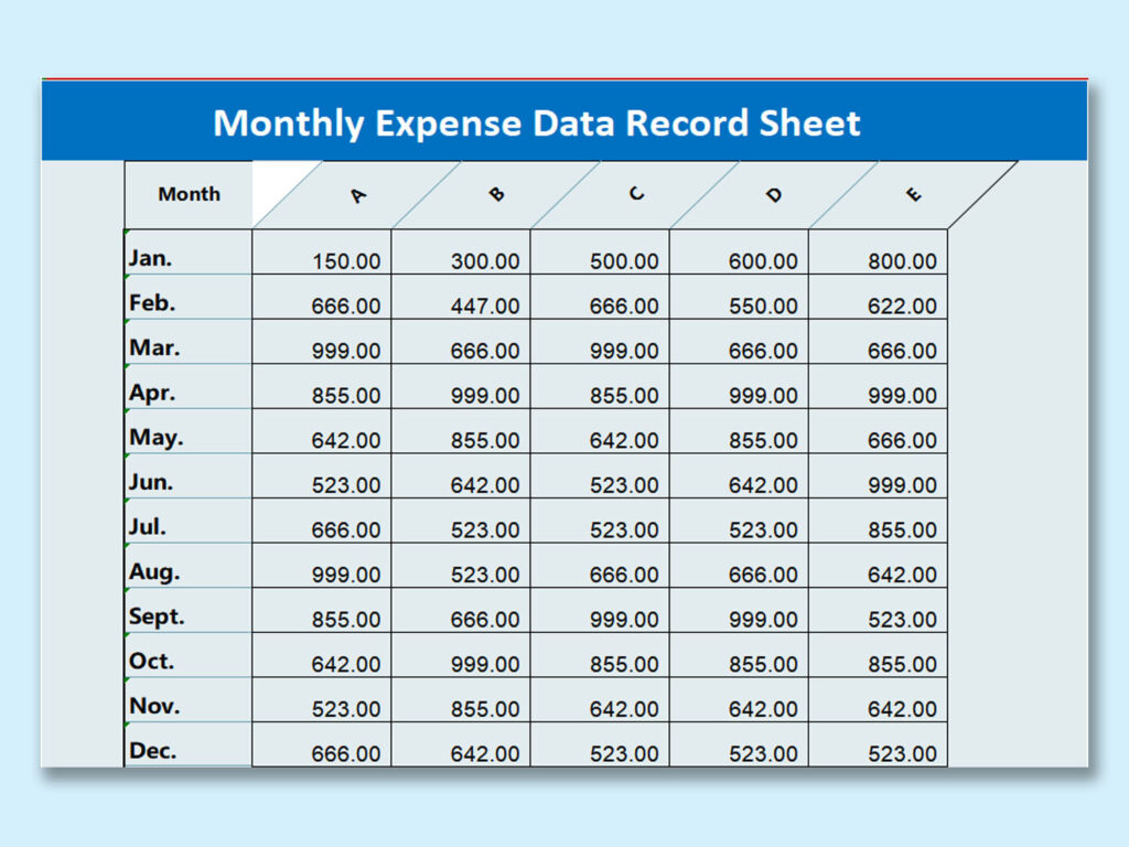 Record Every Expense
