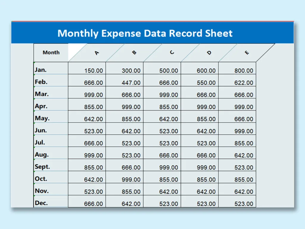 Record Every Expense